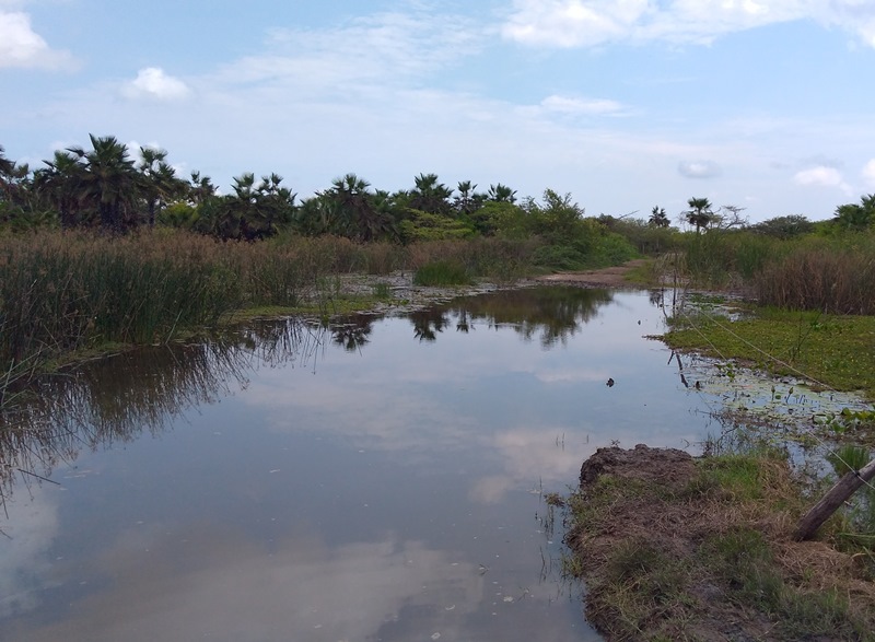 Caño el Burro